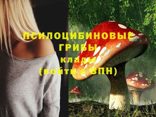 меф Дмитров